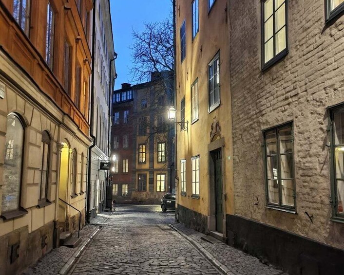 Picture 2 for Activity Stockholm: Private Magical Swedish Christmas Tour 2h