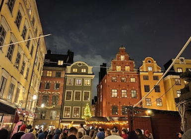 Stockholm: Private Magical Swedish Christmas Tour 2h