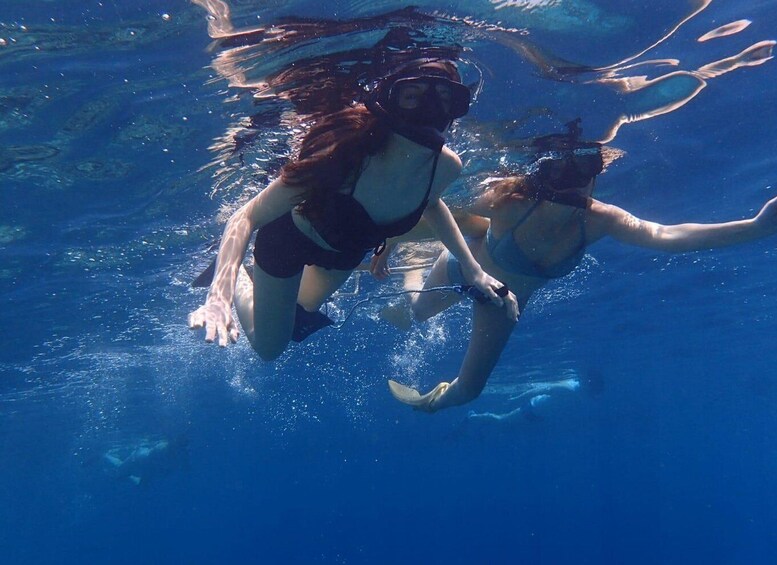 Picture 1 for Activity Basic Snorkeling at Menjangan Island