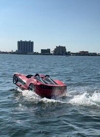 Miami : Location de voitures à réaction à South Beach