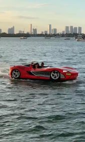 Miami: Jet Car Hire in South Beach