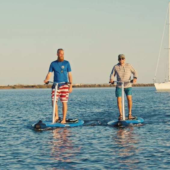 St. Augustine: Standup Pedal-boarding Dolphin Tour