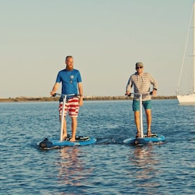 St. Augustine: Standup Pedal-boarding Dolphin Tour