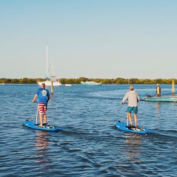 Picture 5 for Activity St. Augustine: Standup Pedal-boarding Dolphin Tour