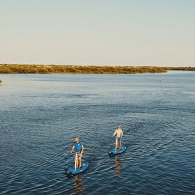 St. Augustine: Standup Pedal-boarding Dolphin Tour