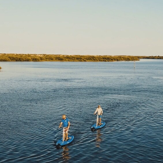 Picture 4 for Activity St. Augustine: Standup Pedal-boarding Dolphin Tour