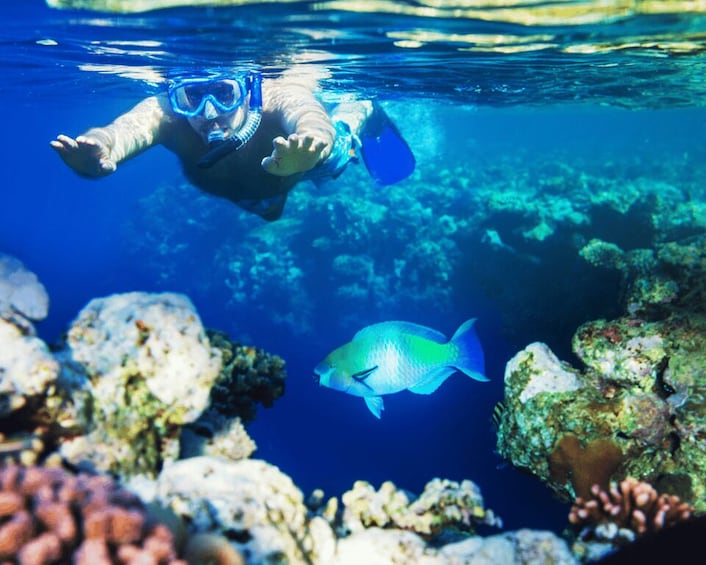 Picture 4 for Activity Salalah Underwater: Discover Mirbat's Snorkeling Paradise