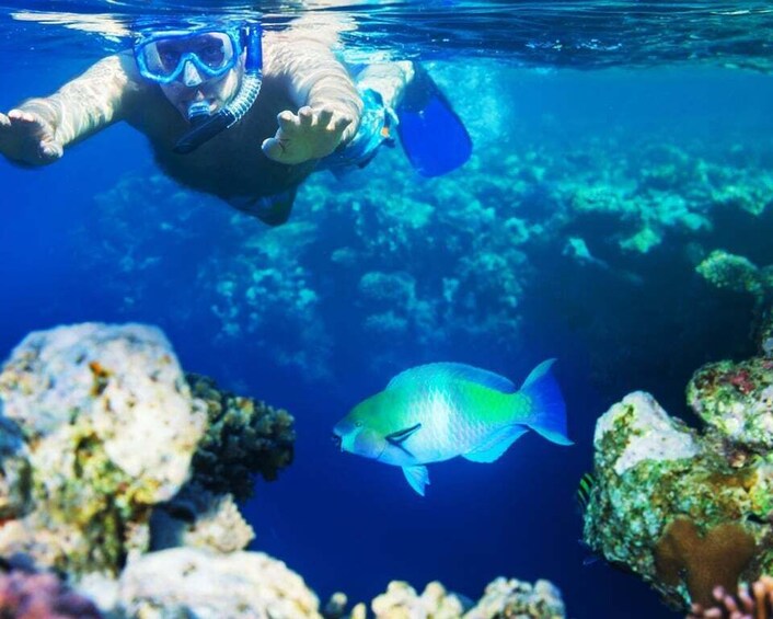 Picture 4 for Activity Salalah Underwater: Discover Mirbat's Snorkeling Paradise