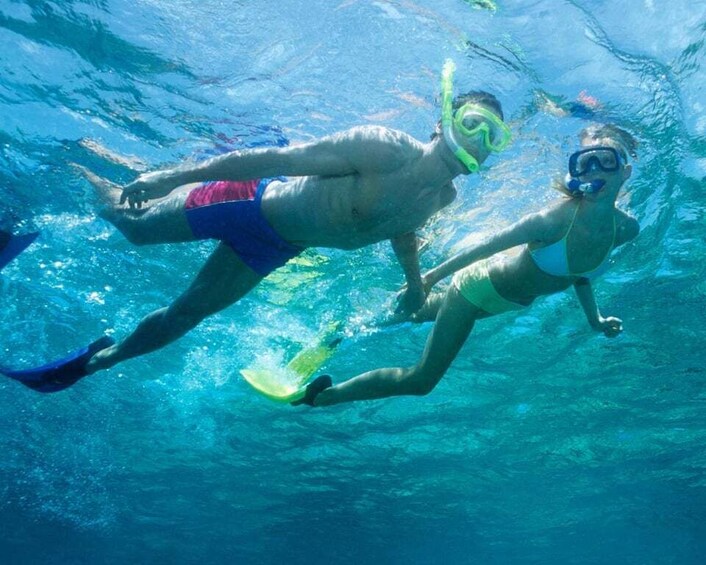 Picture 3 for Activity Salalah Underwater: Discover Mirbat's Snorkeling Paradise