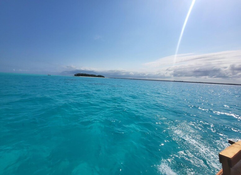 Picture 10 for Activity Zanzibar : 1 Day Mnemba Island Snorkelling