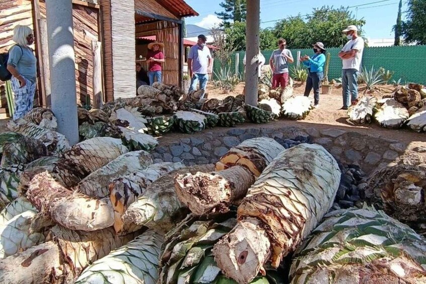 Picture 1 for Activity Oaxaca: Ancestral Mezcal Experience