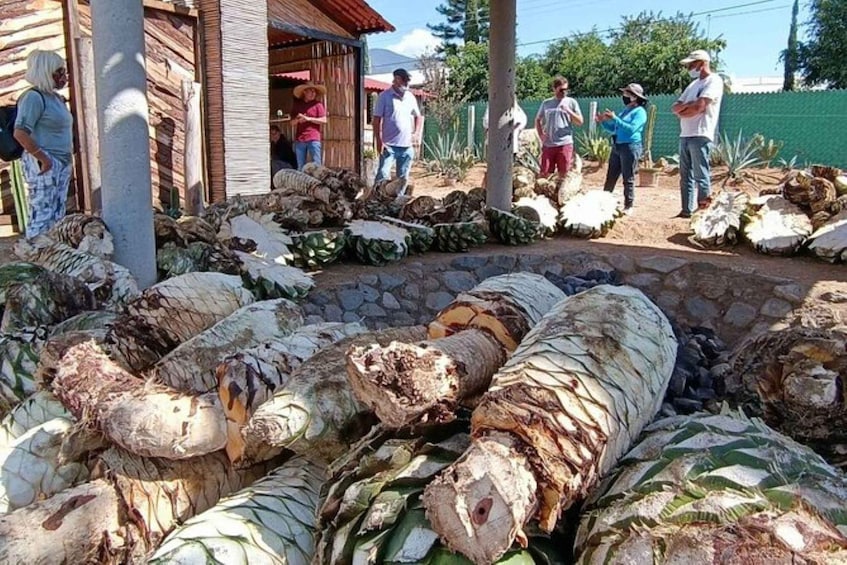 Picture 1 for Activity Oaxaca: Ancestral Mezcal Experience