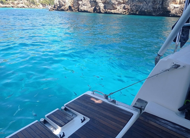 Picture 5 for Activity Mallorca: Cala Vella Boat Tour with Swiming, Food, & Drinks
