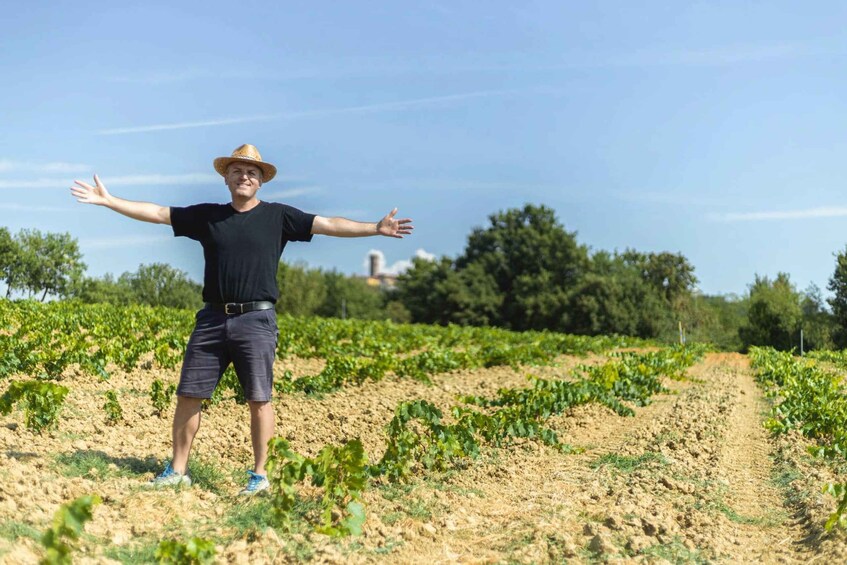 Picture 6 for Activity From Montecatini Terme: Wine Experience in Tuscan Farm