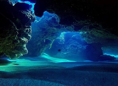 Duiken - Tunnels & Grotten - Cape Greco - privé begeleid