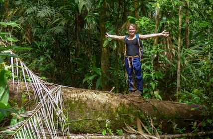 Uvita: Private Nature & Wildlife Night Tour Tropical Forest