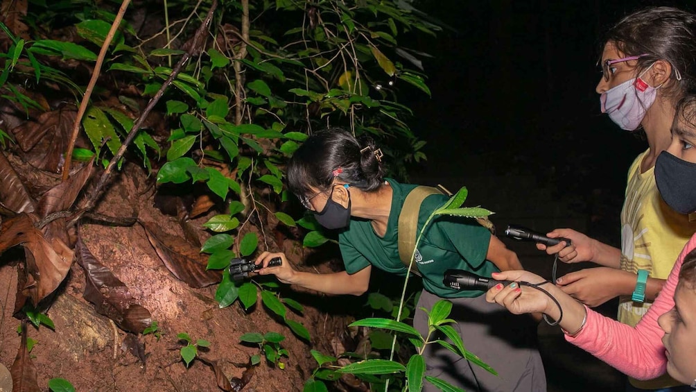 Picture 12 for Activity Uvita: Private Nature & Wildlife Night Tour Tropical Forest