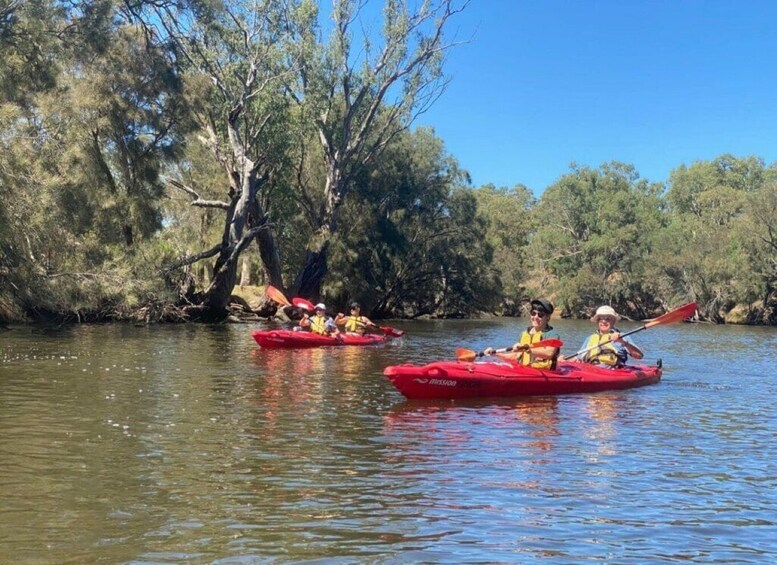 Picture 2 for Activity Perth: Swan River Kayaking Tour with Dining and Wine Tasting