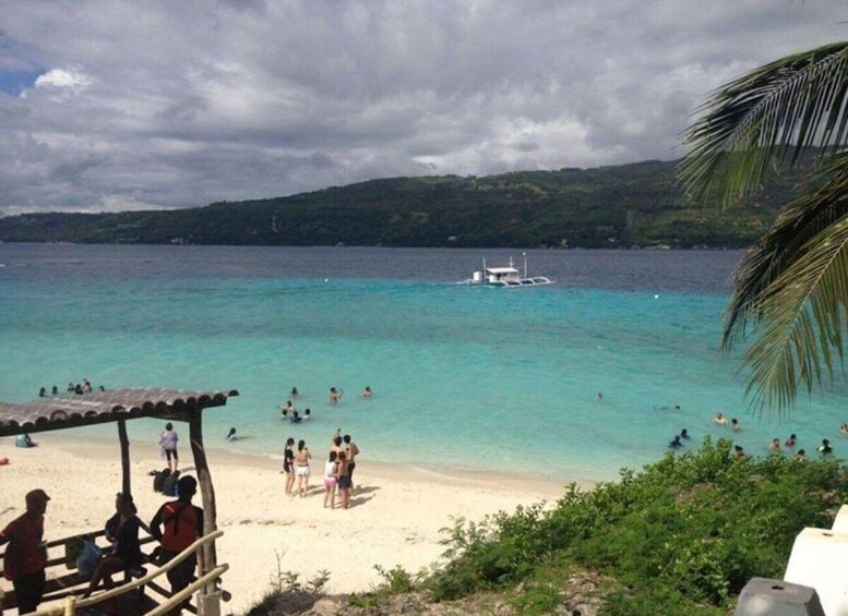 Picture 5 for Activity Cebu: Whale Sharks, Tumalog Falls & Sumilon Sand Bar Tour