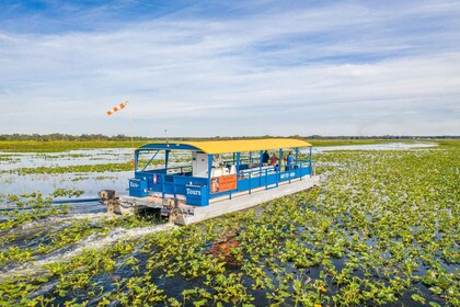 Kissimmee: Florida Everglades Pontoon Boat Tour