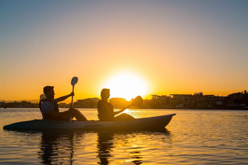 Picture 1 for Activity Gold Coast: Sunset Kayaking Tour to Macintosh Island