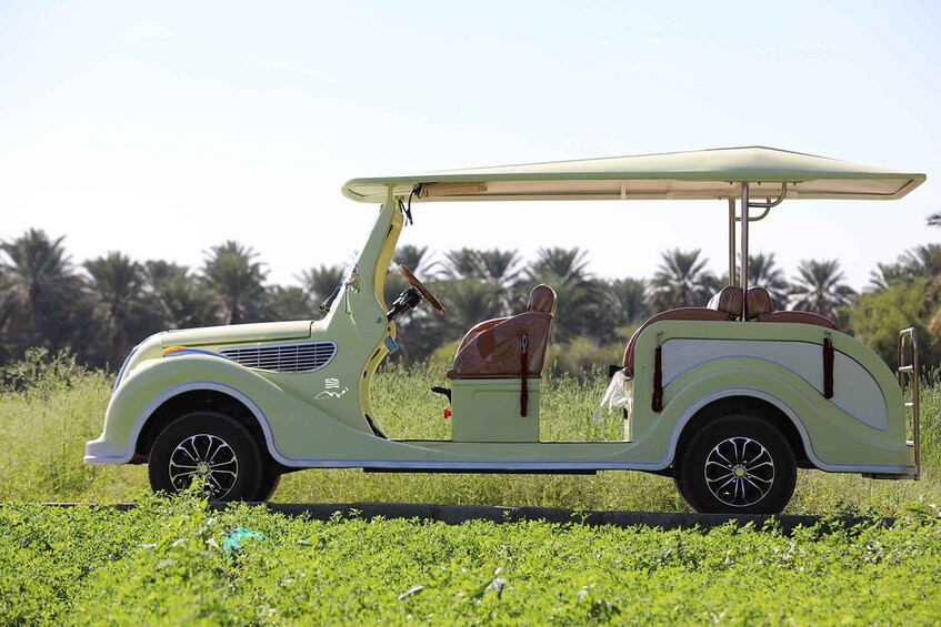Picture 2 for Activity Al Hamra Cart Tour