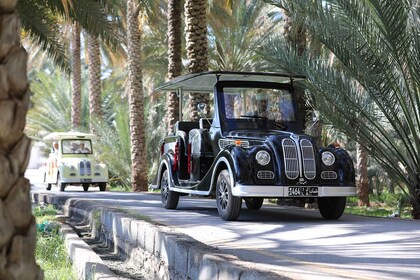 Al Hamra Cart Tour