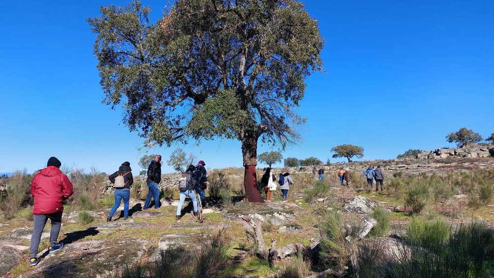 Picture 2 for Activity Marvão: Megalithic Monuments Private Tour with Hotel Pickup