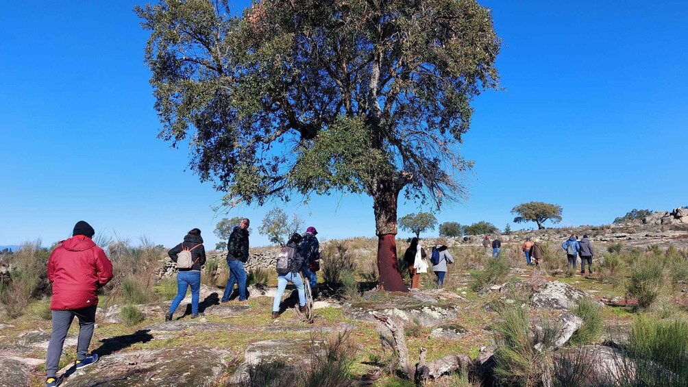 Picture 2 for Activity Marvão: Megalithic Monuments Private Tour with Hotel Pickup