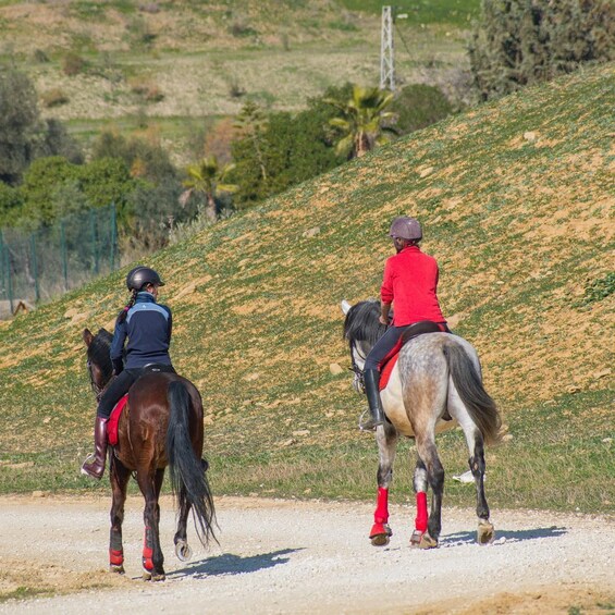 Picture 3 for Activity Andalucia: Horse Riding Tour with Picnic