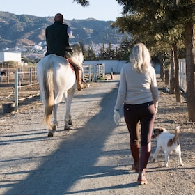 Andalucia: Horse Riding Tour with Picnic