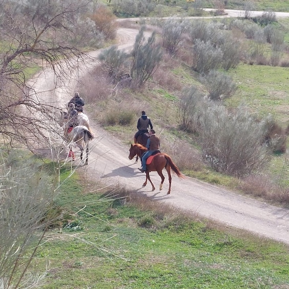 Picture 1 for Activity Andalucia: Horse Riding Tour with Picnic