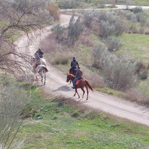 Picture 1 for Activity Andalucia: Horse Riding Tour with Picnic