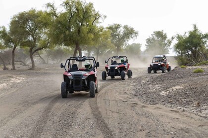 From Muscat 1 Hour: Self Drive quad bike Adventure in Wadi Al Rak