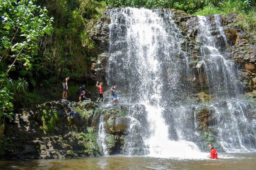 Picture 2 for Activity Kauai: Guided Hike and Waterfall Swim