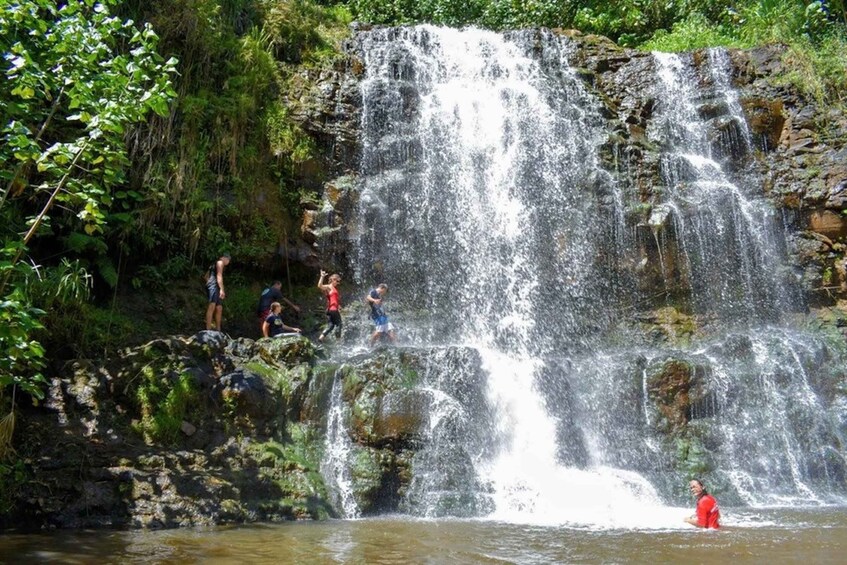 Picture 2 for Activity Kauai: Guided Hike and Waterfall Swim