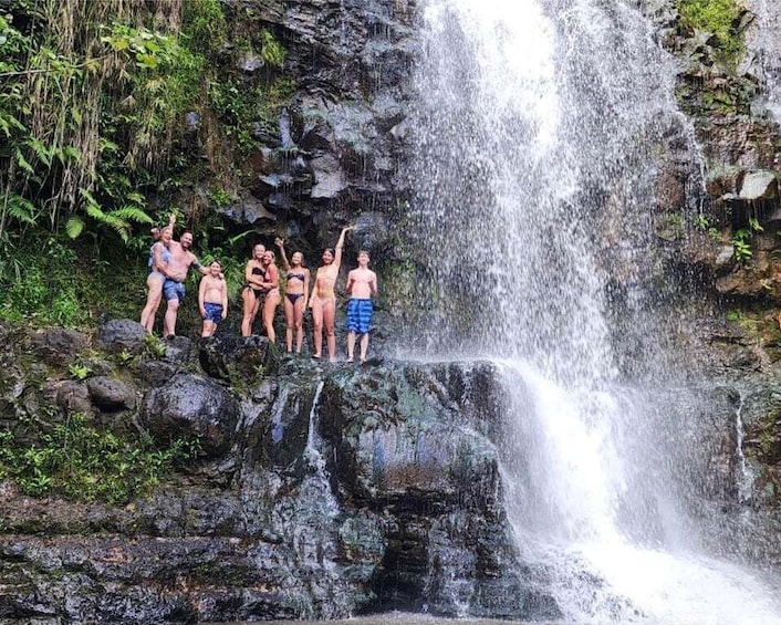 Picture 4 for Activity Kauai: Guided Hike and Waterfall Swim