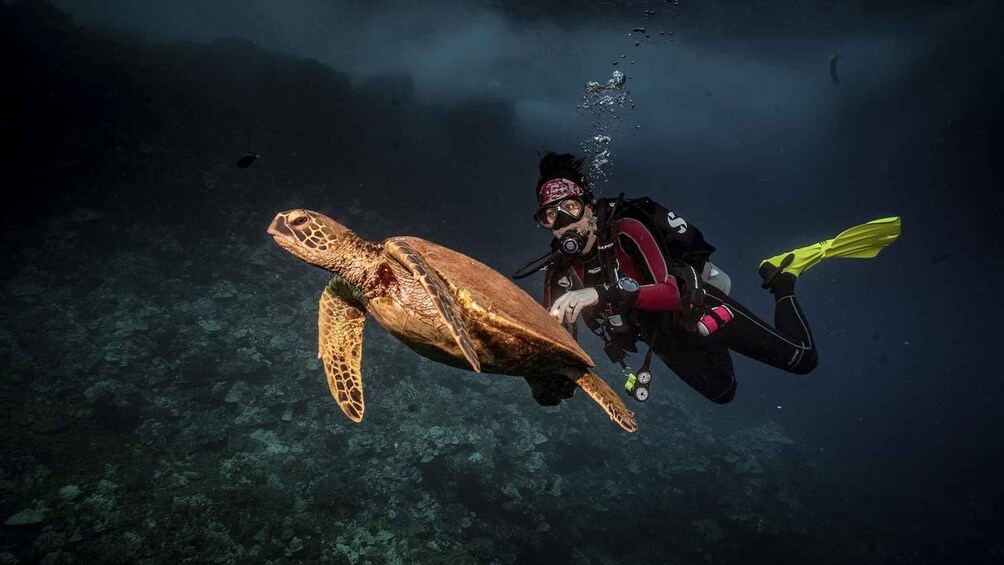 Picture 1 for Activity Lahaina: Discover Scuba Diving Class