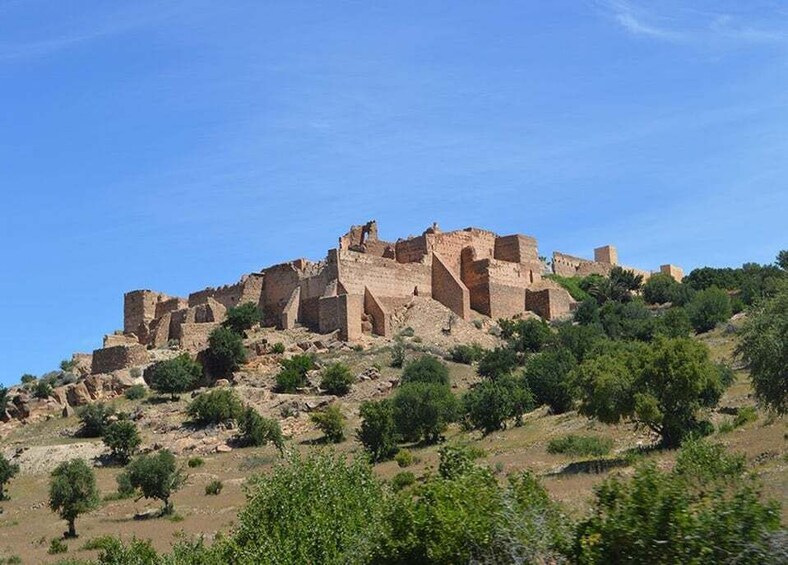 Picture 6 for Activity From Taghazout/Agadir: Taroudant and Tiout Day Trip & Tajine