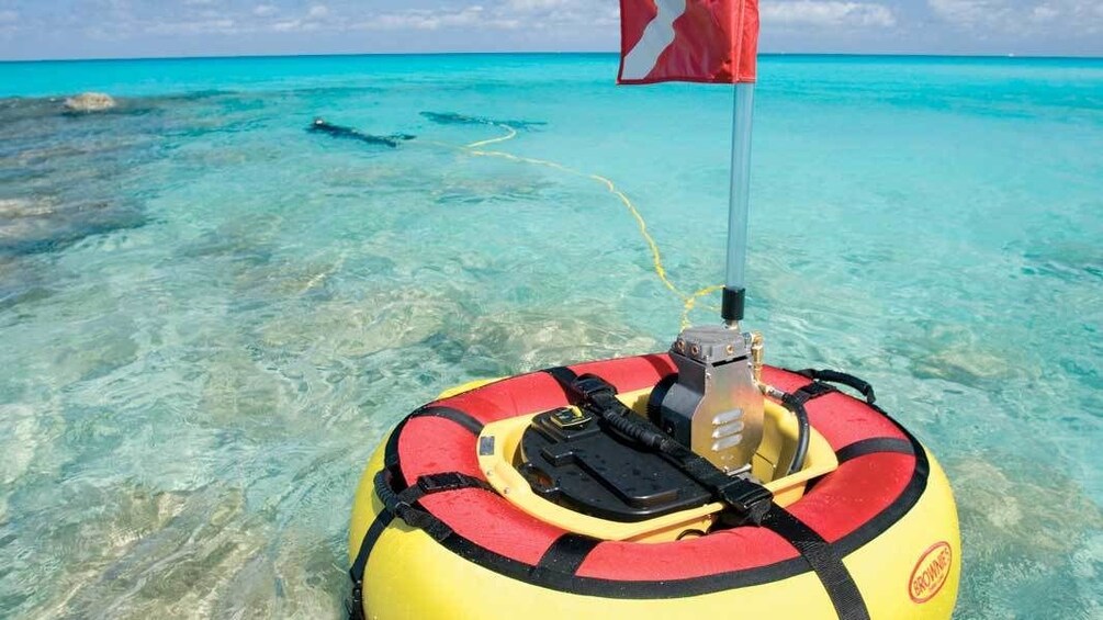 SZUBA Tankless Diving Adventure in Smith's Reef