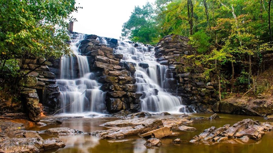 Alabama: Auburn/Opelika/Alexander City Multi-Attraction Pass