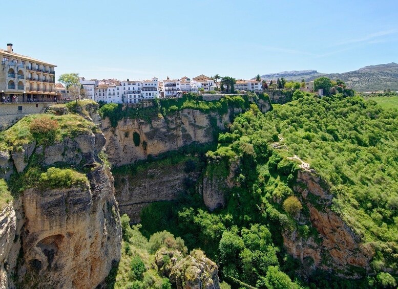 Picture 11 for Activity From Costa del Sol: Ronda and Setenil de las Bodegas