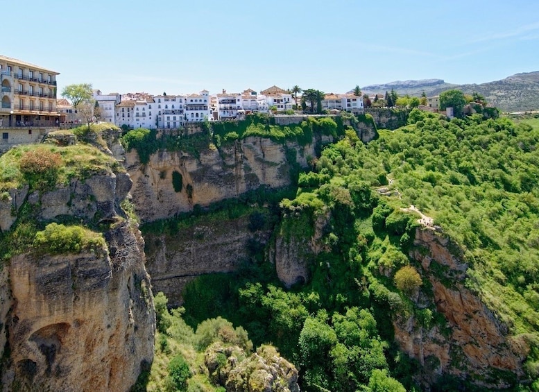 Picture 11 for Activity From Costa del Sol: Ronda and Setenil de las Bodegas