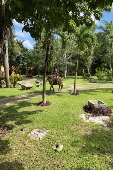 Picture 4 for Activity Merida: Hacienda Horseback Ride Experience