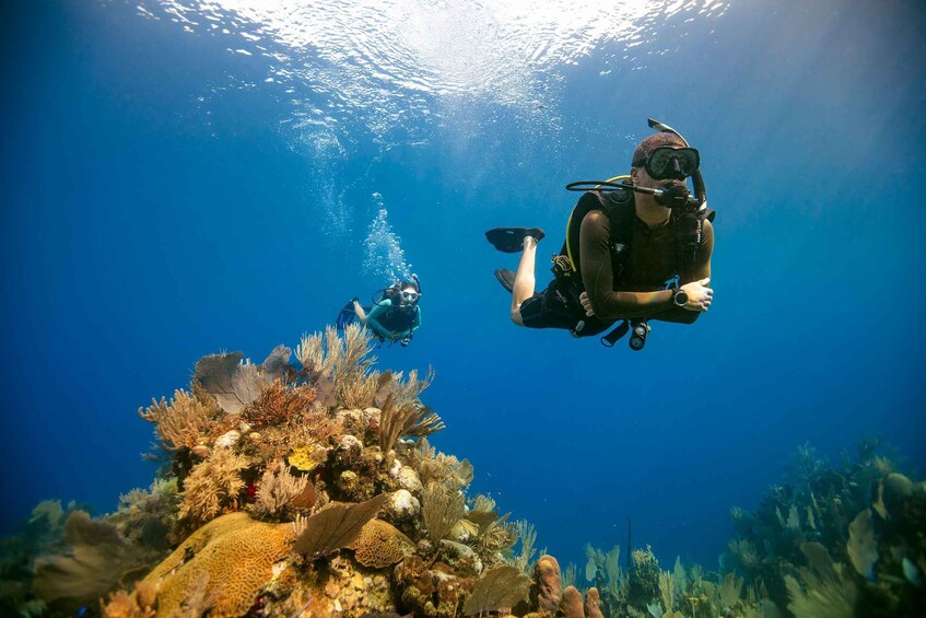 Picture 3 for Activity Diving Santa Marta & Tayrona for Certified Divers (2 tanks)