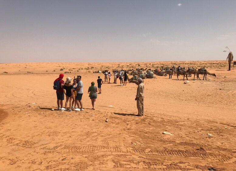 Day trip to desert to Ksar Ghilane from Djerba or Zarzis