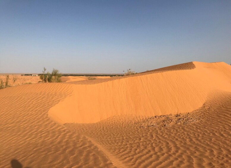 Picture 1 for Activity Day trip to desert to Ksar Ghilane from Djerba or Zarzis