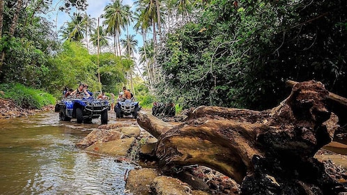 Koh Samui: quad bike Quad Bike Safari Tour