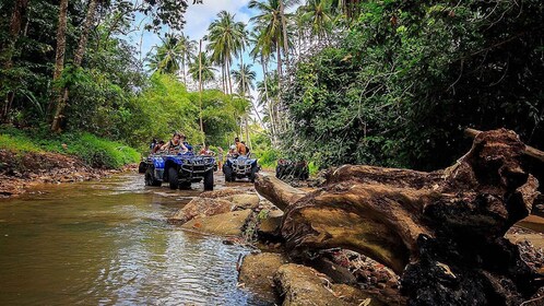 Koh Samui: quad bike Quad Bike Safari Tour