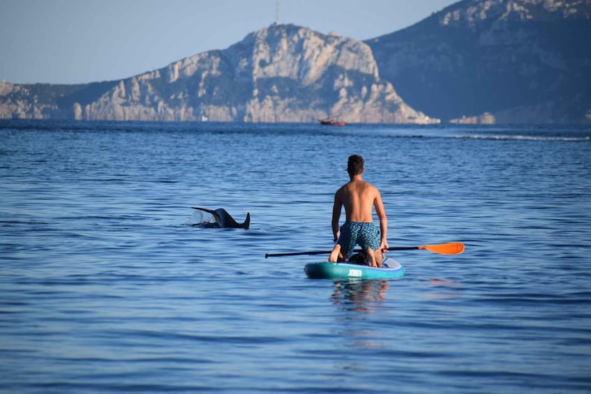Golfo Aranci: Dolphin Watching SUP Paddleboard Tour